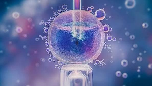 Fertility Preservation