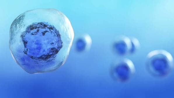 Stem Cell Therapy