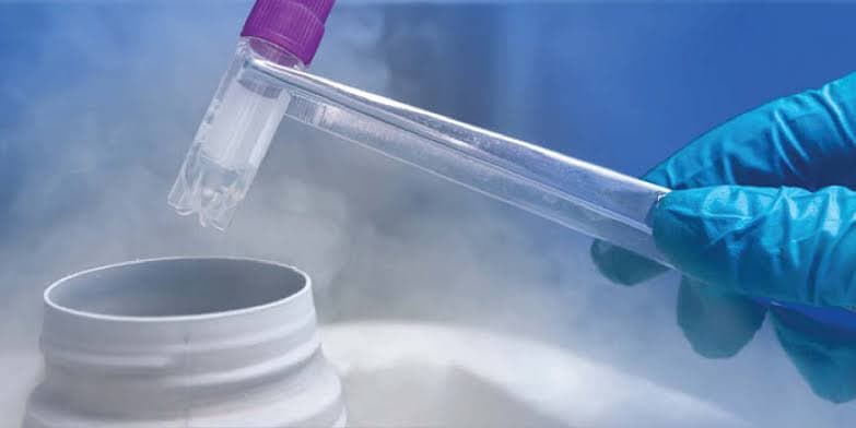Fertility Preservation — gallery image 3
